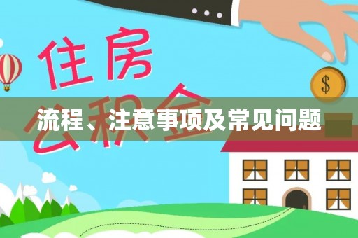 灵武流程、注意事项及常见问题