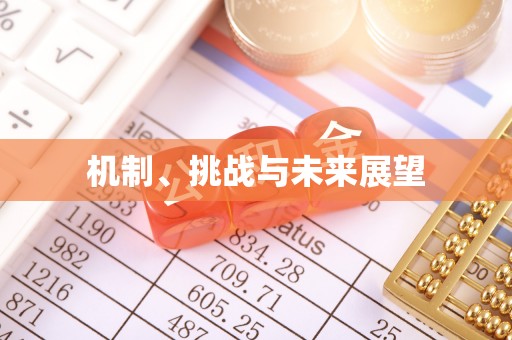 灵武机制、挑战与未来展望