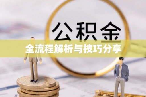 灵武全流程解析与技巧分享
